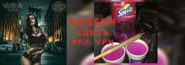 дмт Краснослободск