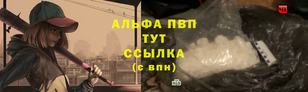 дмт Краснослободск