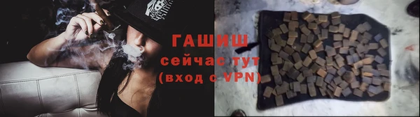 дмт Краснослободск