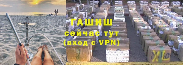 дмт Краснослободск