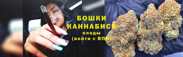 дмт Краснослободск